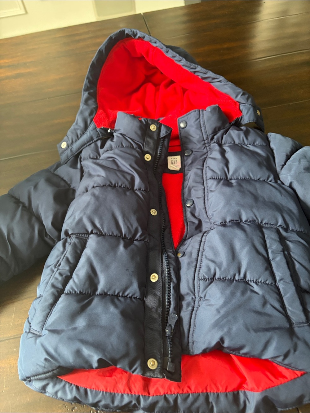 GAP Kids Hooded Puffer Jacket in Navy with Red Lining